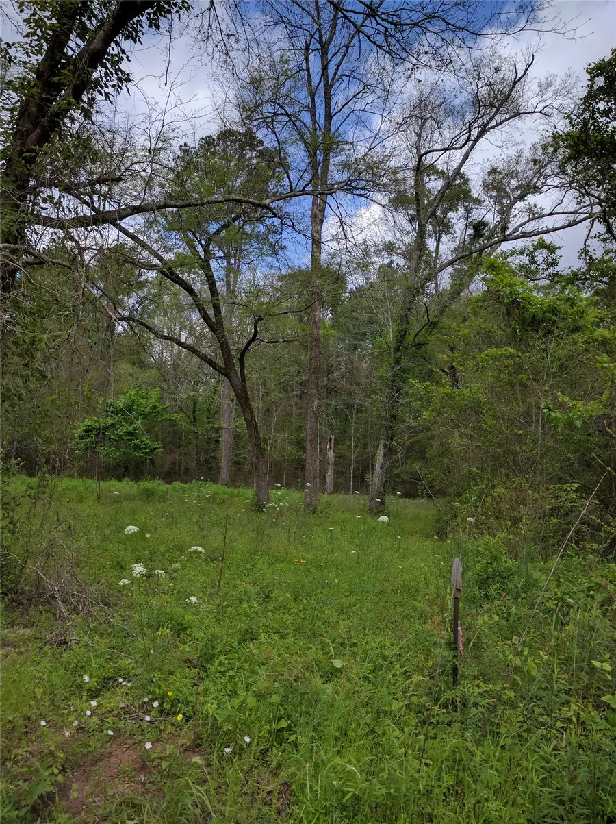 50 Jock G Street, Livingston, TX 77351 - #3