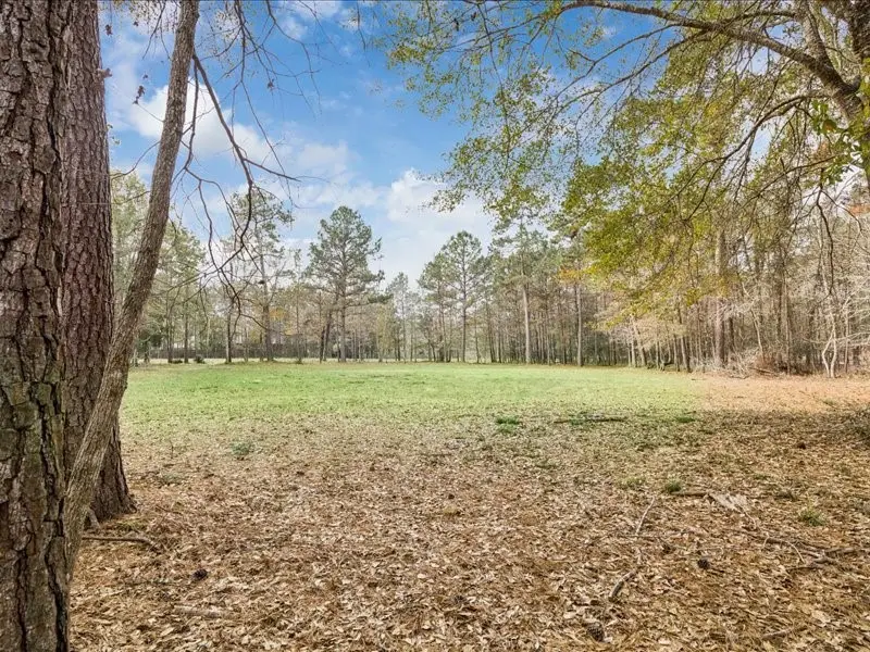 125 Skipper Jack, Montgomery, TX 77316 - Image #2