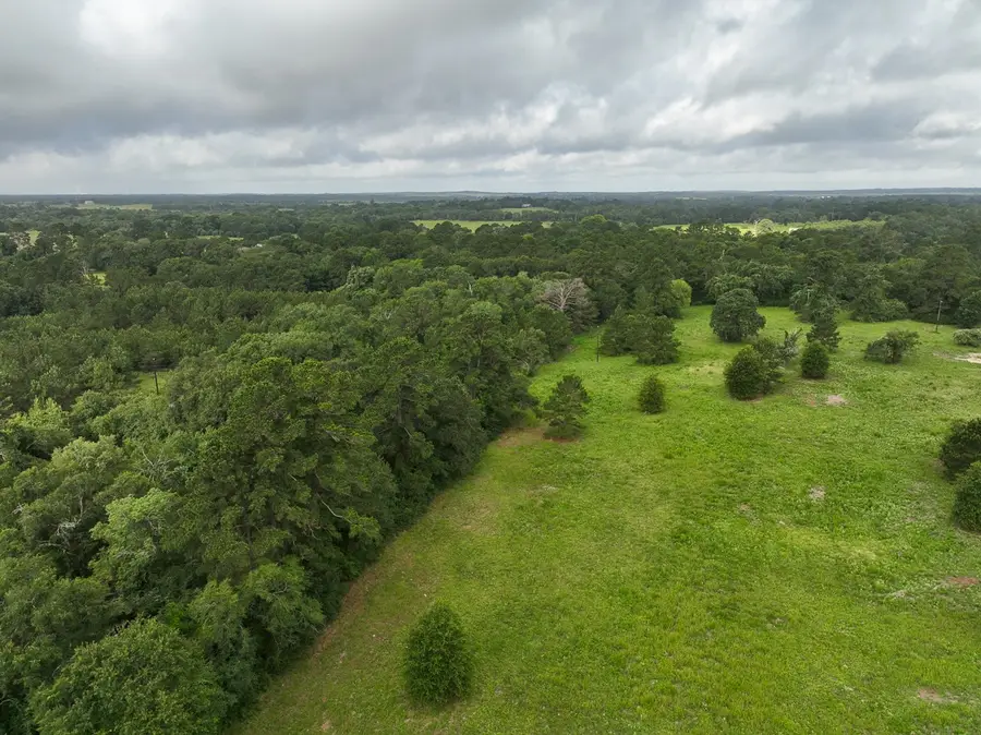 0 County Road 227, Bedias, TX 77831 - #3