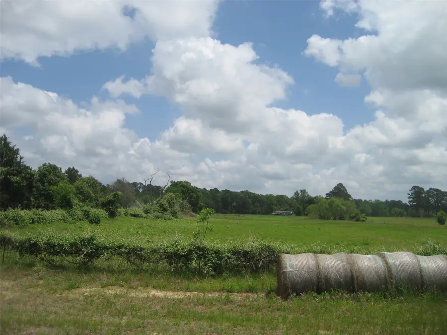 00 N Fm 2022, Grapeland, TX 75844 - #3