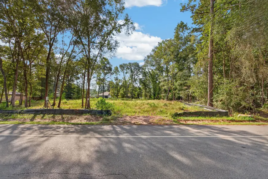 2710 Roman Forest Boulevard, New Caney, TX 77357 - #3