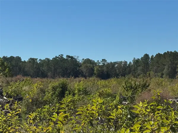 tbd County Road 4800, Warren, TX 77664