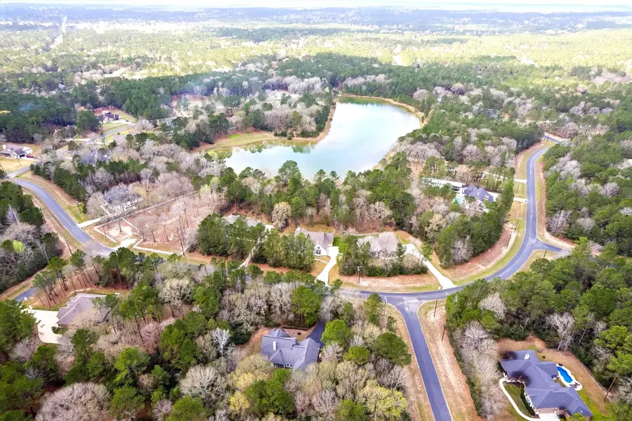 17915 Saddle Horn Drive, Waller, TX 77484 - #3