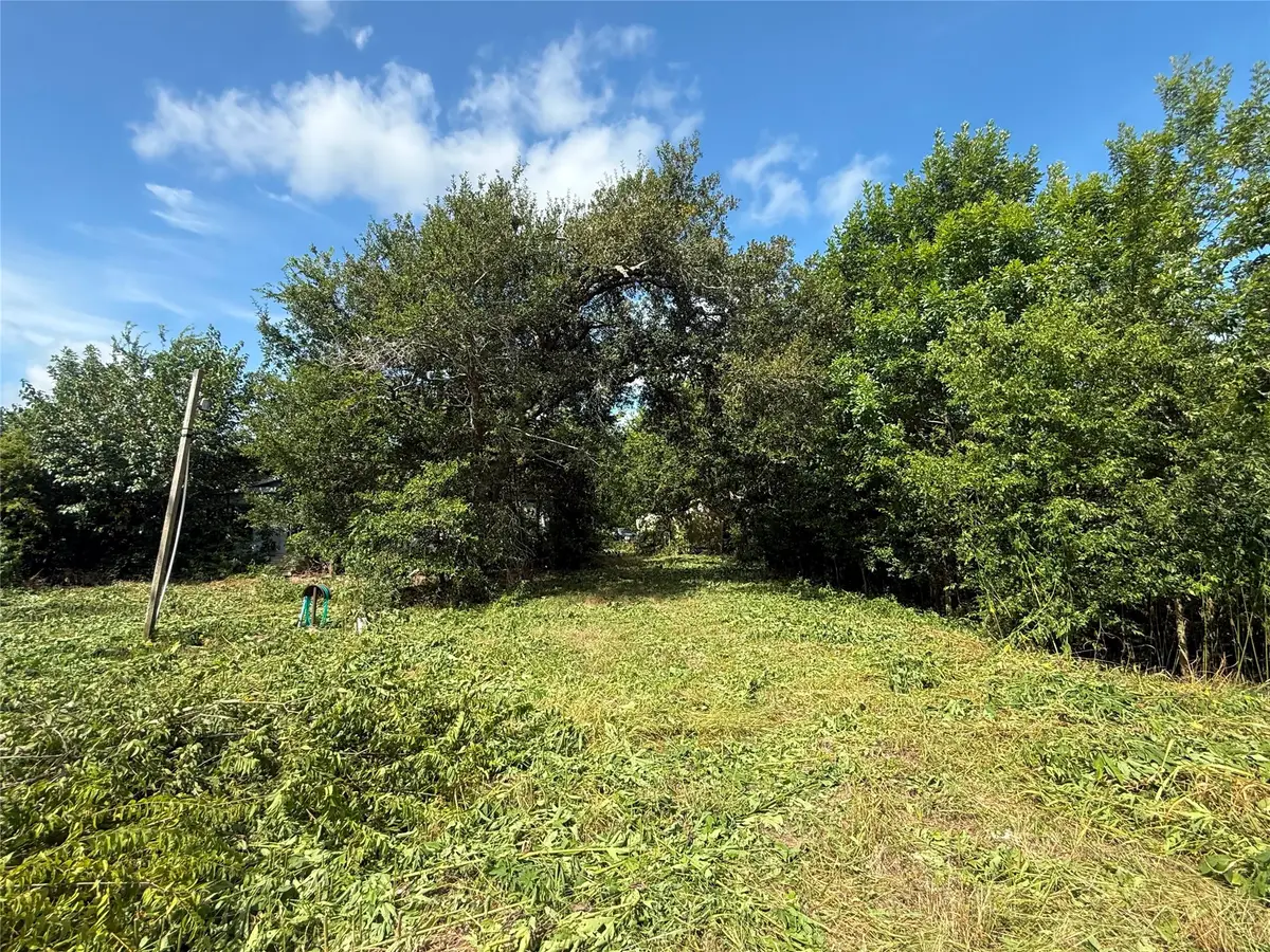 2311 W Tavener Road, Beasley, TX 77417 - #1