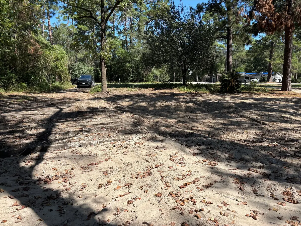 1314 Hamblen Road, Houston, TX 77339 - Image #1