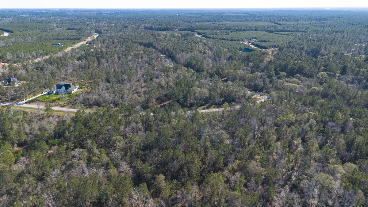 11623 Dawn Tree Lane, Willis, TX 77378 - #1