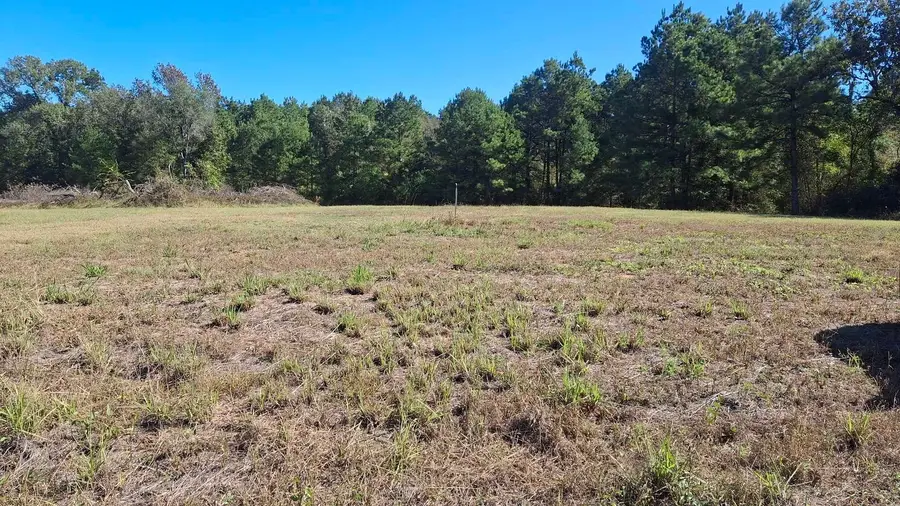 TBD Antioch Road, Groveton, TX 75845 - Image #2