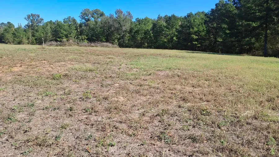 TBD Antioch Road, Groveton, TX 75845 - Image #3