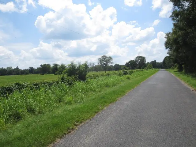 143 Piney Woods Road, Trinity, TX 75862 - #3