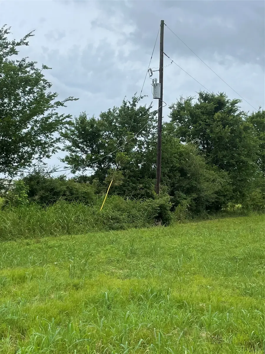 977 Tafelski, New Waverly, TX 77358 - #2
