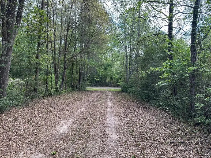 1325 County Road 2650, Rye, TX 77369 - #3