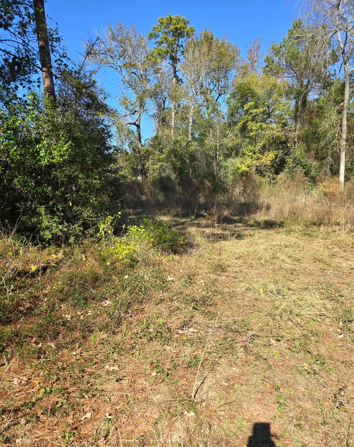 10287 Wanda Lane, Montgomery, TX 77316 - Image #1