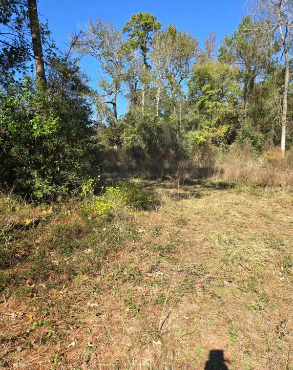 10287 Wanda Lane, Montgomery, TX 77316