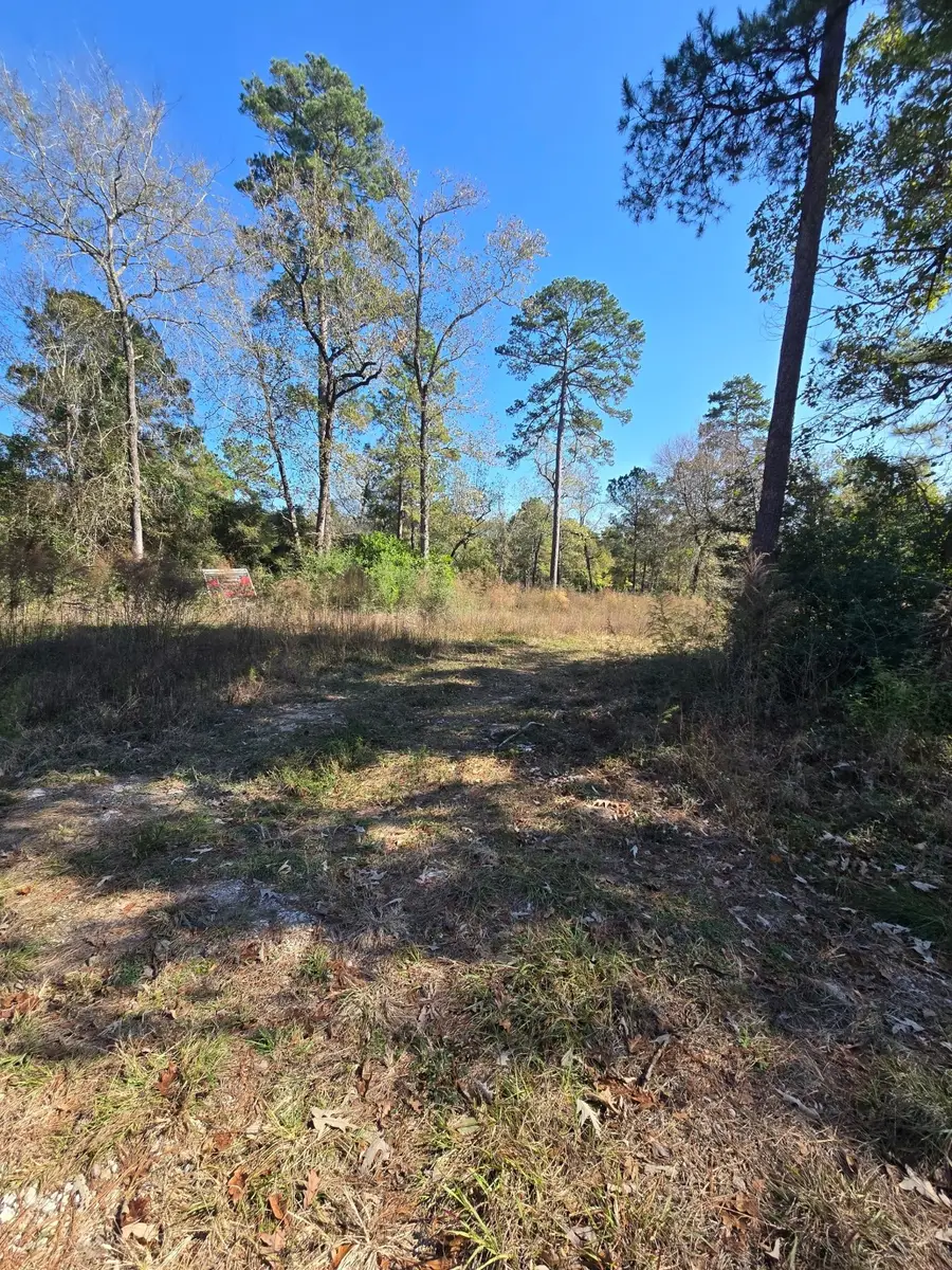 10287 Wanda Lane, Montgomery, TX 77316 - Image #3