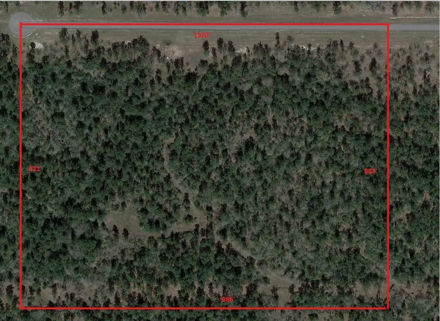 TBD Westview - 20 Acres, Huntsville, TX 77320 - #3