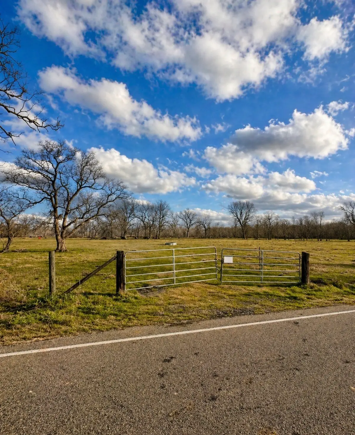 0 County Road 42, Rosharon, TX 77583 - #1