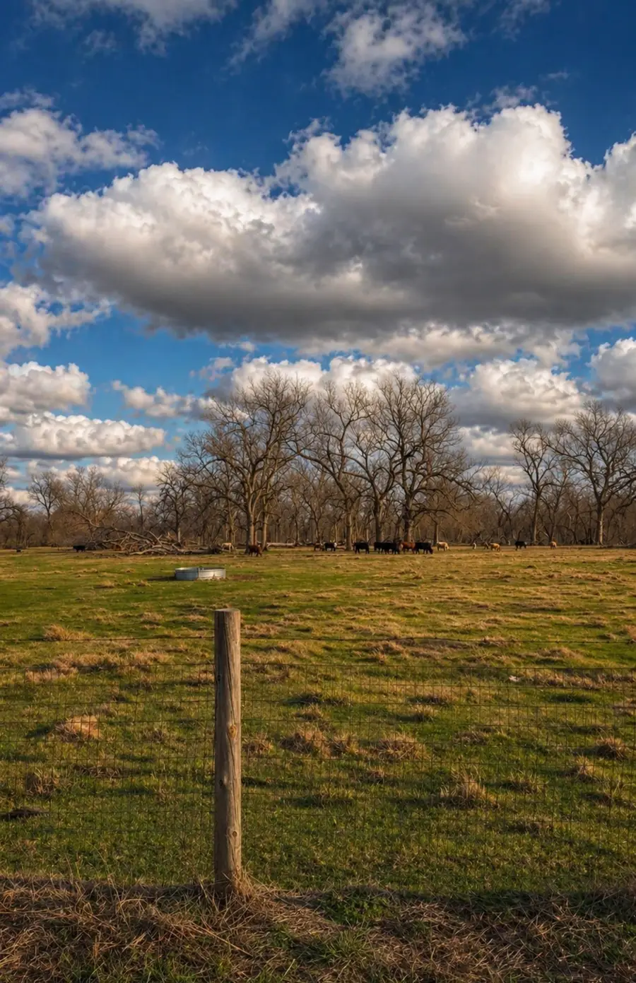 0 County Road 42, Rosharon, TX 77583 - #3