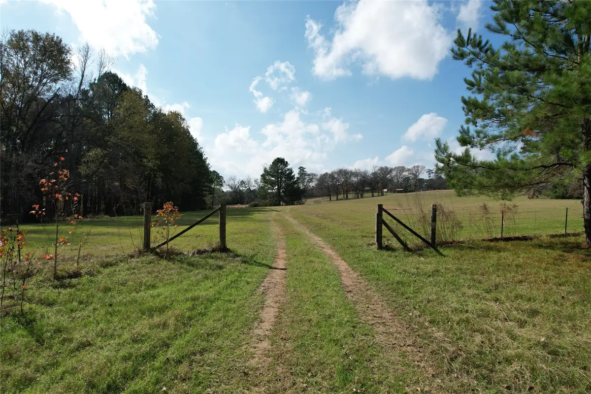 TBD County Rd 1585, Grapeland, TX 75844 - Image #1