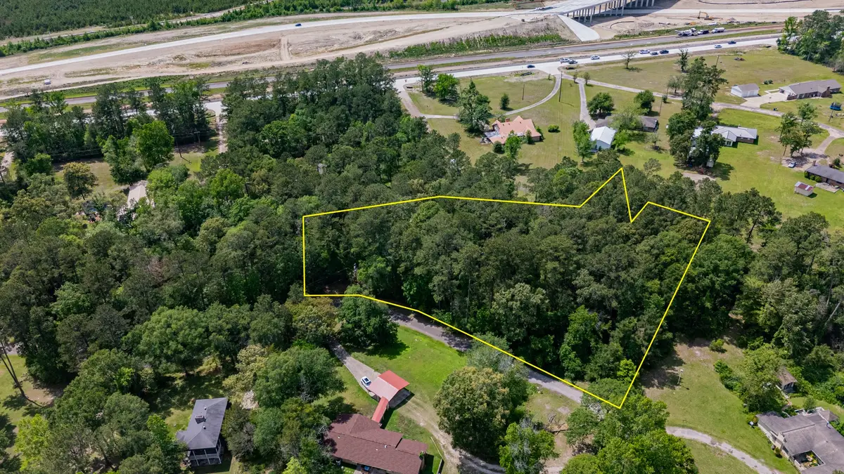 TBD W Laurelia Road, Corrigan, TX 75939 - #1