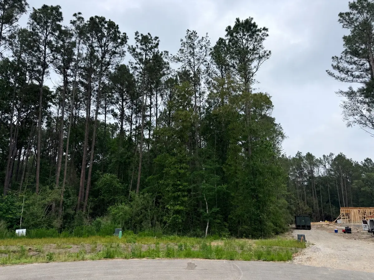25300 High Meadow West Dr, Montgomery, TX 77316 - #1