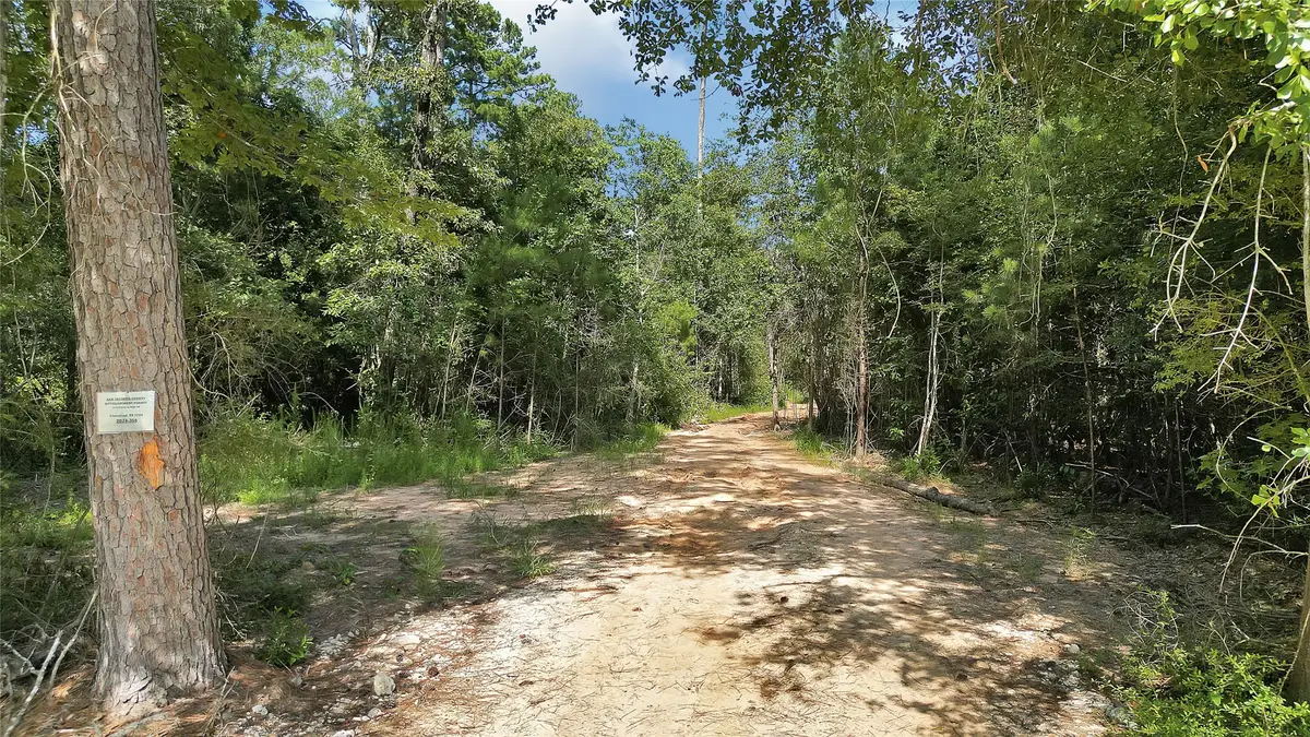 2161 Fostoria Tram Road, Cleveland, TX 77328 - Image #1