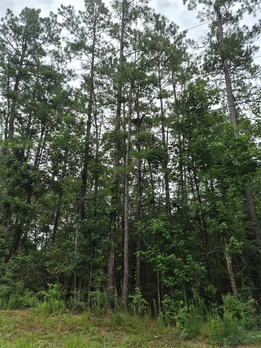 380 County Road 6494, Dayton, TX 77535 - #2
