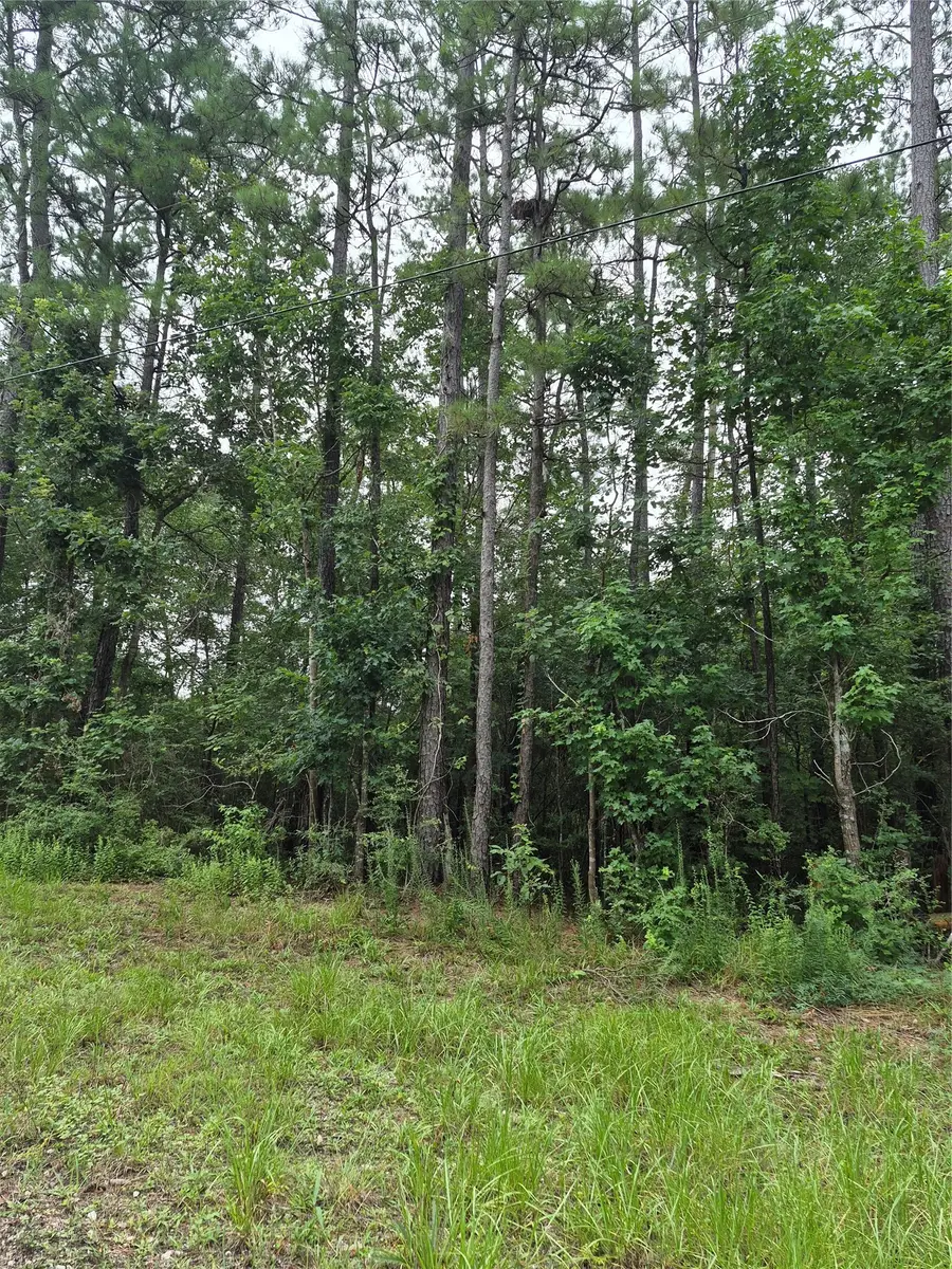 380 County Road 6494, Dayton, TX 77535 - #3