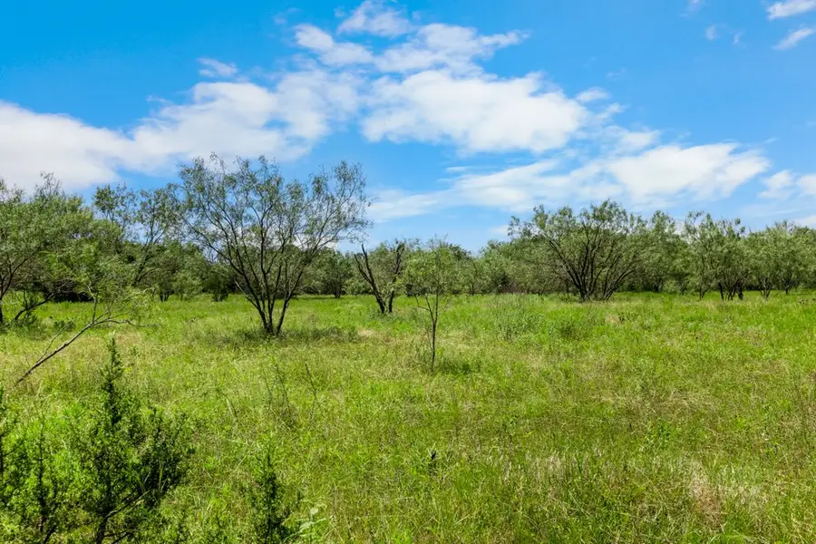 TBD County Road 539, Hico, TX 76457 - Image #3