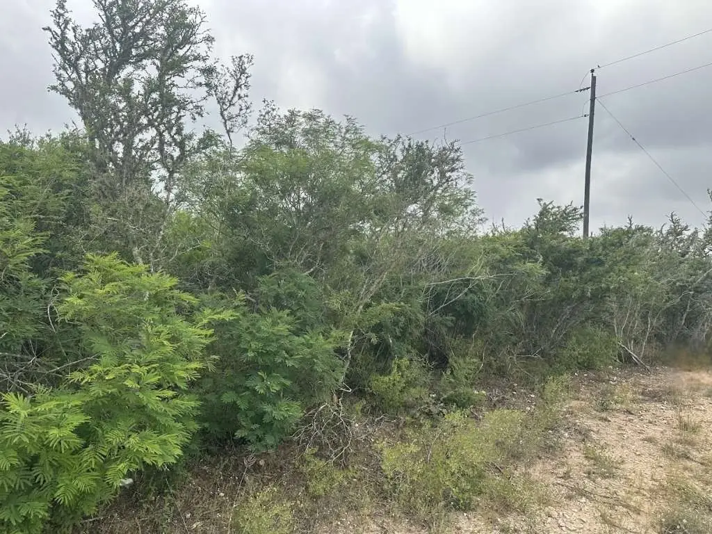 0 County Road 187, Orange Grove Sandia, TX 78372 - Image #1