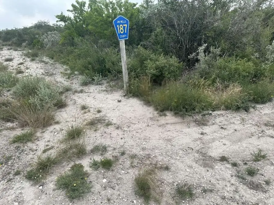 0 County Road 187, Orange Grove Sandia, TX 78372 - Image #2