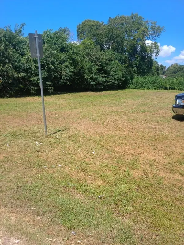 Lots 9,10,11,12 Branch St, Wharton, TX 77488 - #3