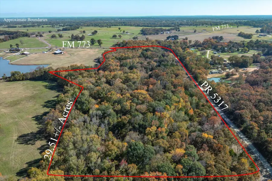 29.51 +/- Acres Fm 773, Grand Saline, TX 75140 - #2