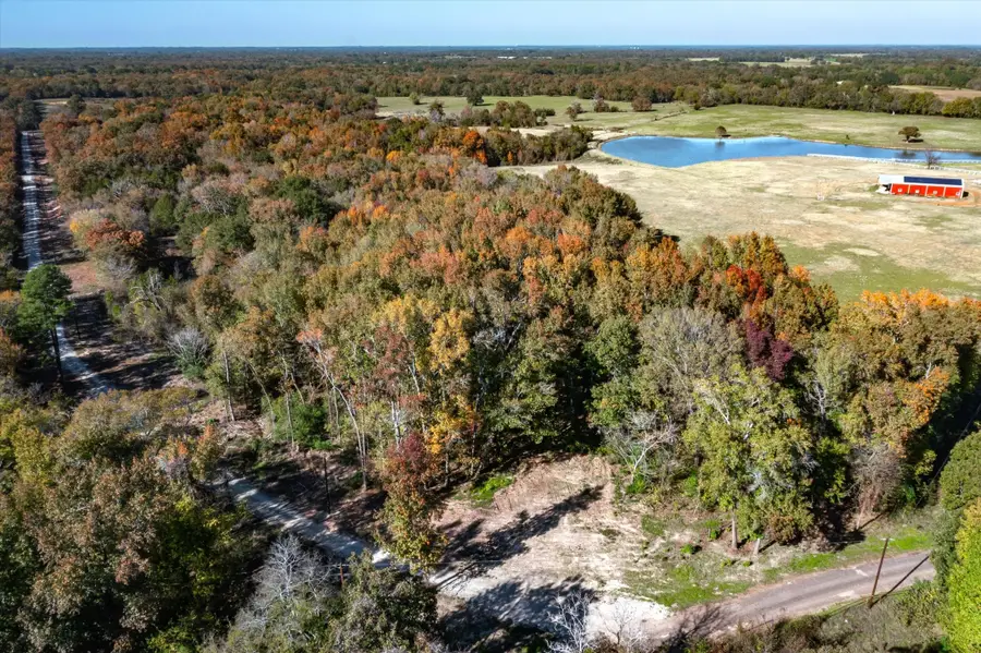 29.51 +/- Acres Fm 773, Grand Saline, TX 75140 - #3