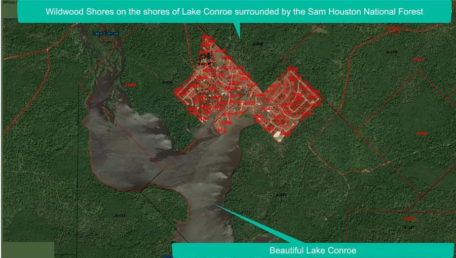 77 Hillsborough Drive, Huntsville, TX 77340 - Image #3