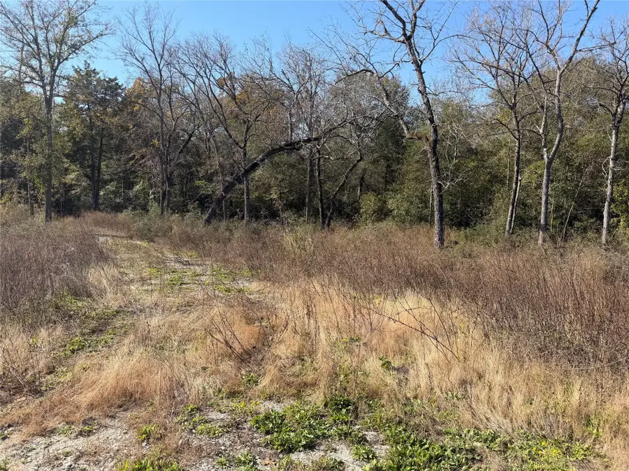 Lot 34 Cr 389, Jewett, TX 75846 - Image #2