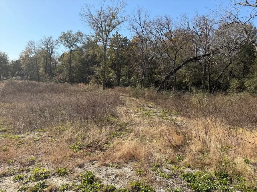 Lot 34 Cr 389, Jewett, TX 75846 - Image #3