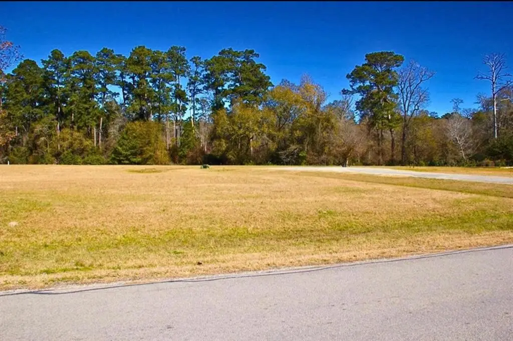 1 Wild Forest Court, Huntsville, TX 77340 - #1