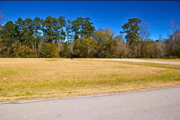1 Wild Forest Court, Huntsville, TX 77340