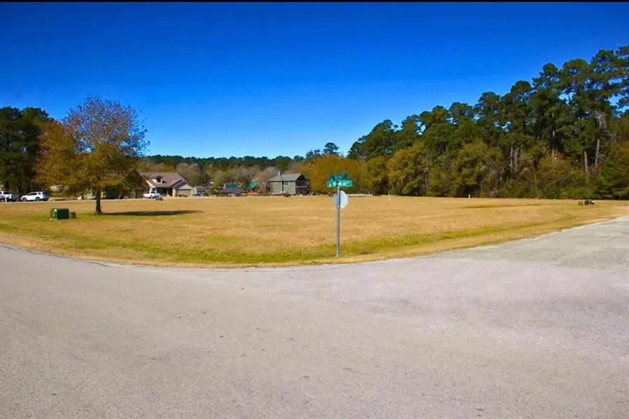 1 Wild Forest Court, Huntsville, TX 77340 - #2