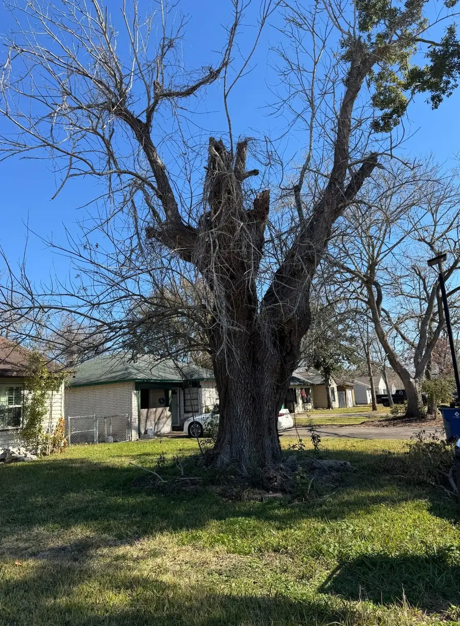 913 Southampton Street, Angleton, TX 77515 - #2