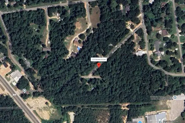 223 Broken Arrow, Onalaska, TX 77360