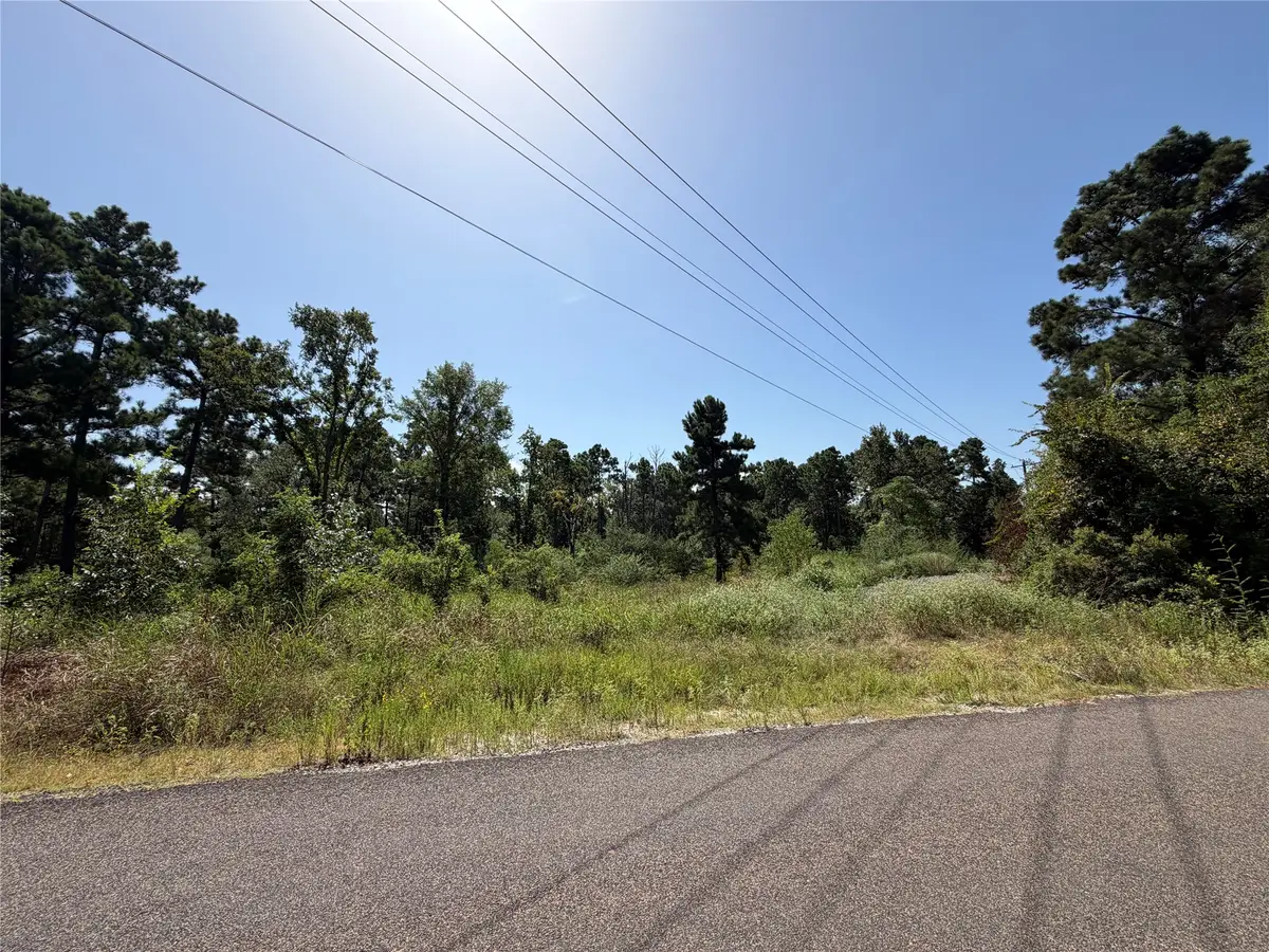 175 Hanson Road, Onalaska, TX 77360 - #1