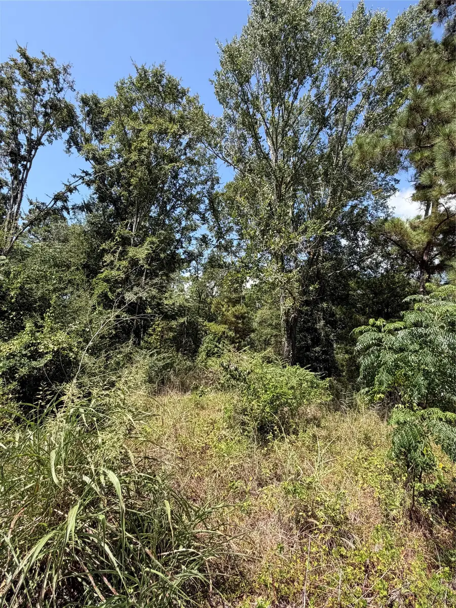 175 Hanson Road, Onalaska, TX 77360 - #3
