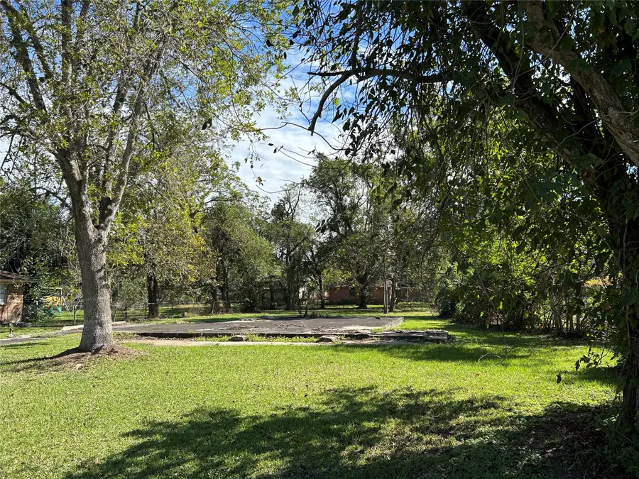 1106 Earley Street, Sweeny, TX 77480 - #2