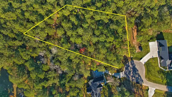 8602 Cedar Meadow Lane, Plantersville, TX 77363