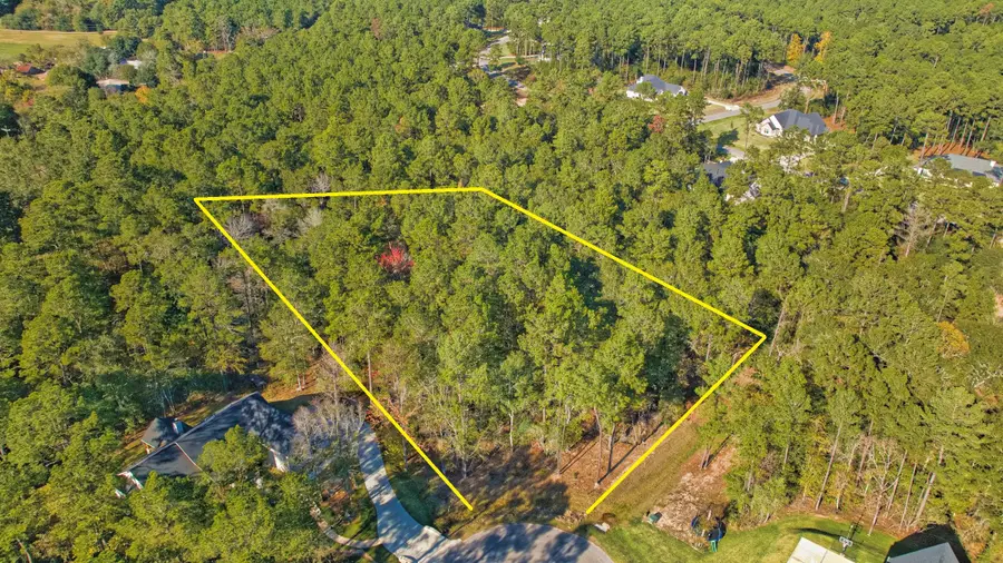 8602 Cedar Meadow Lane, Plantersville, TX 77363 - Image #3