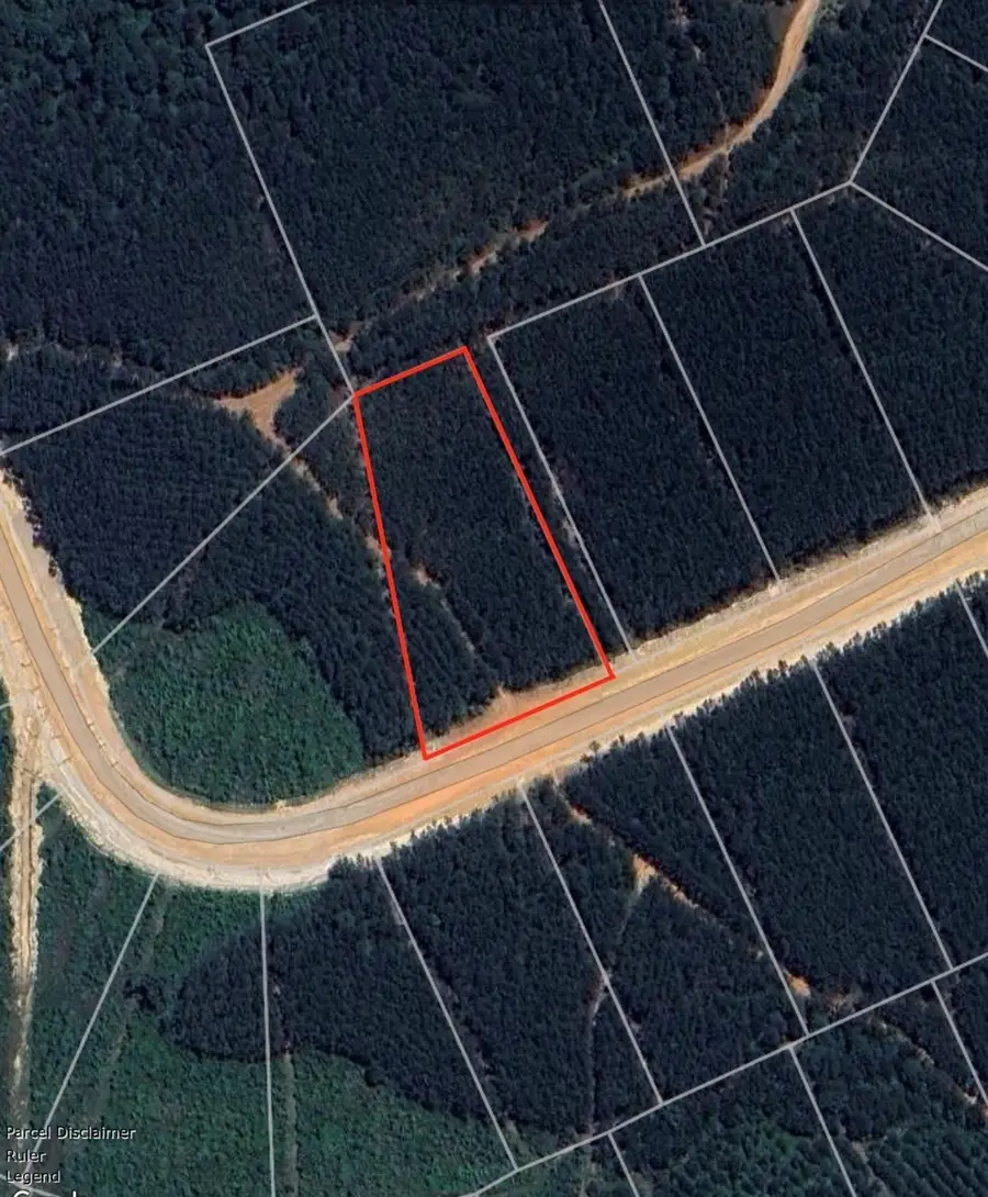 16076 Forest Mill Road, Willis, TX 77378 - #3