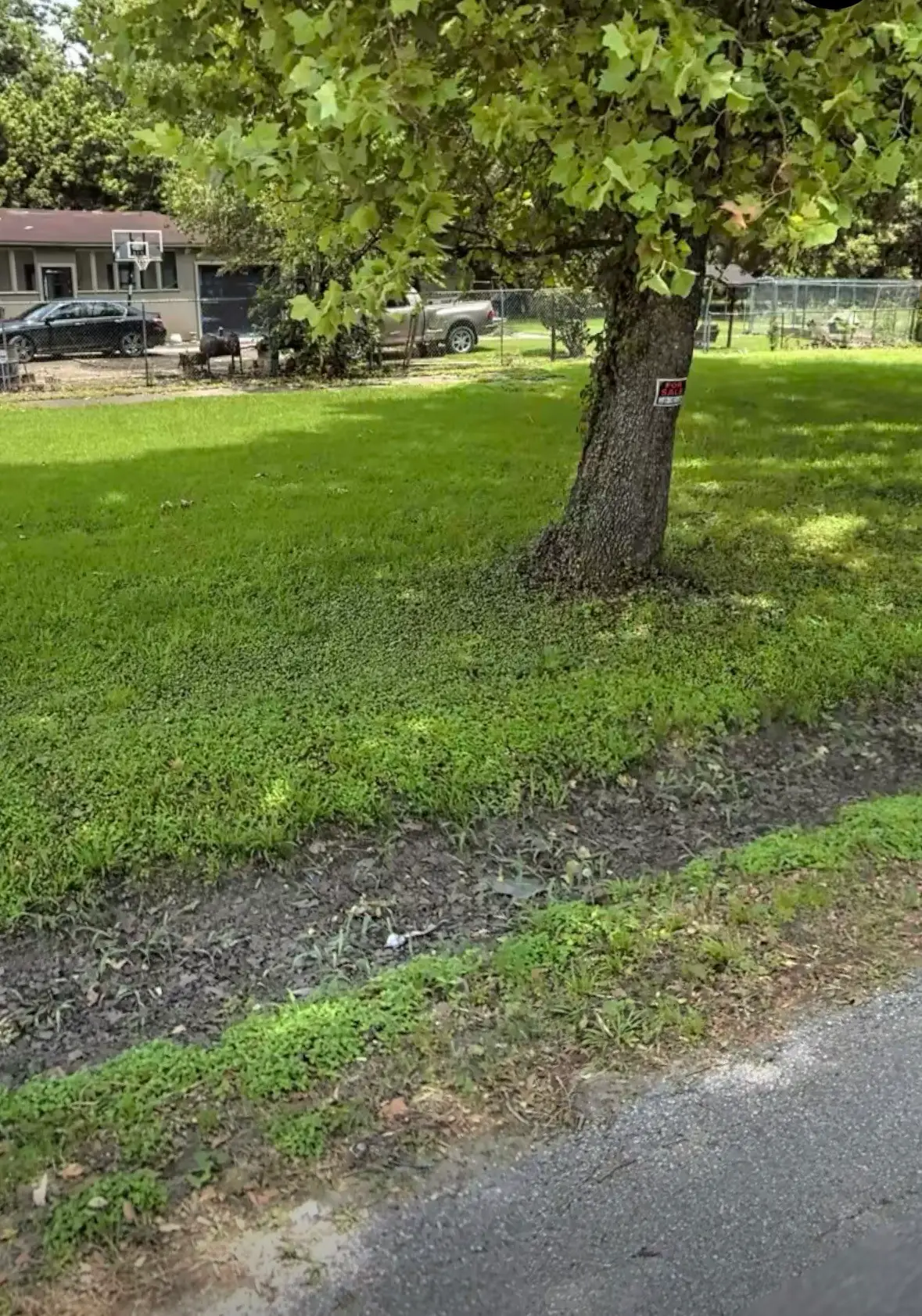 6813 Bonita Street, Houston, TX 77016 - #1