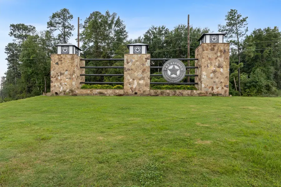 138 Cattle Haven Way, New Waverly, TX 77358 - #2