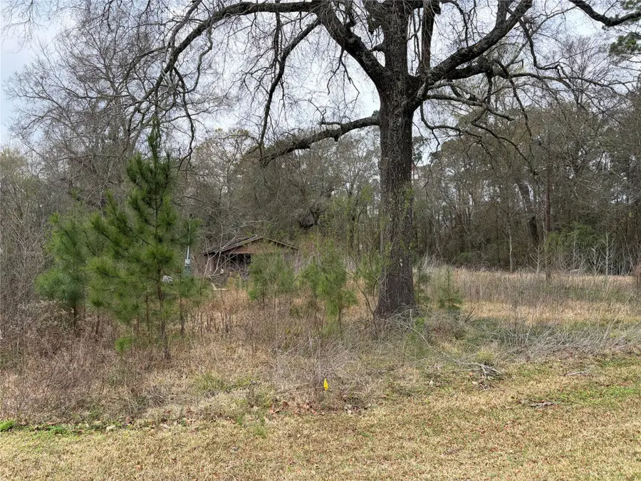 1345 3rd Street, Vidor, TX 77662 - #3